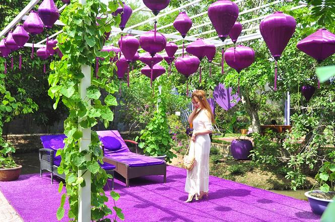 Dân mạng lùng sục căn nhà màu tím mộng mơ ở Cần Thơ-9