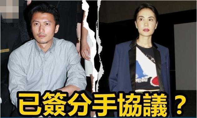 Bố Tạ Đình Phong ngầm xác nhận nam tài tử chính là cha đẻ con trai út của Trương Bá Chi?-3