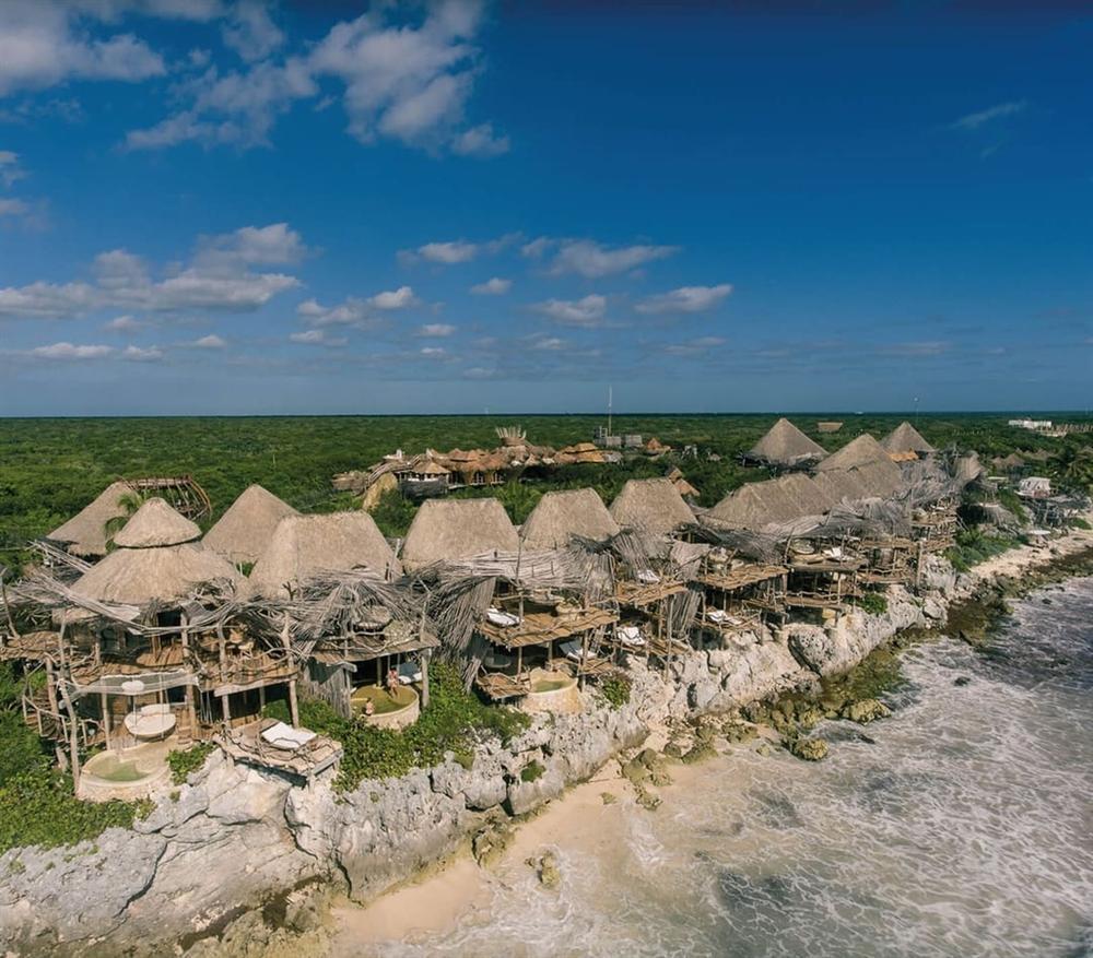 Resort trên cây view hướng biển không dành cho du khách dưới 18 tuổi-1
