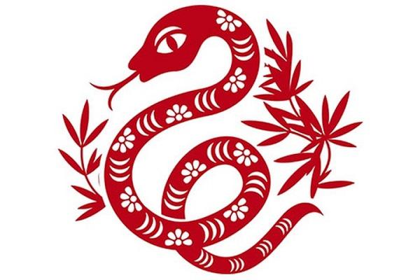 Top 3 con giáp nam cảm thấy bối rối khi nói chuyện với những người lớn tuổi-1