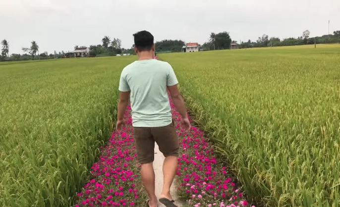 Con đường Hoa Mười Giờ tím lịm tìm sim giới trẻ thích mê ở Tiền Giang-8