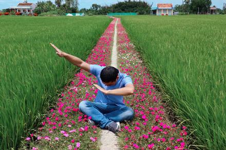 Con đường Hoa Mười Giờ 'tím lịm tìm sim' giới trẻ thích mê ở Tiền Giang