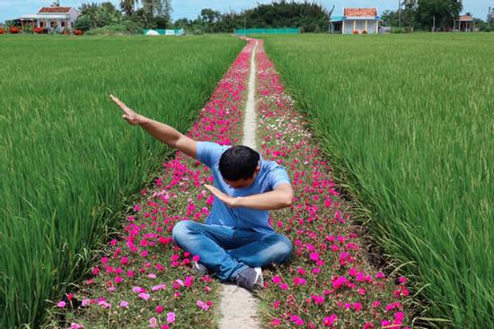 Con đường Hoa Mười Giờ 'tím lịm tìm sim' giới trẻ thích mê ở Tiền Giang