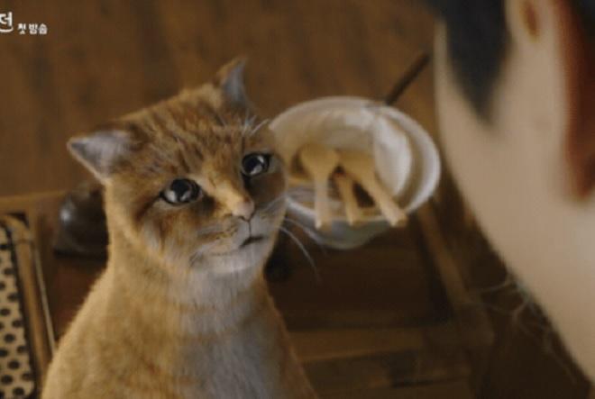 Những pha xử lý kỹ xảo thô vụng, giả tạo trong phim Hàn-3