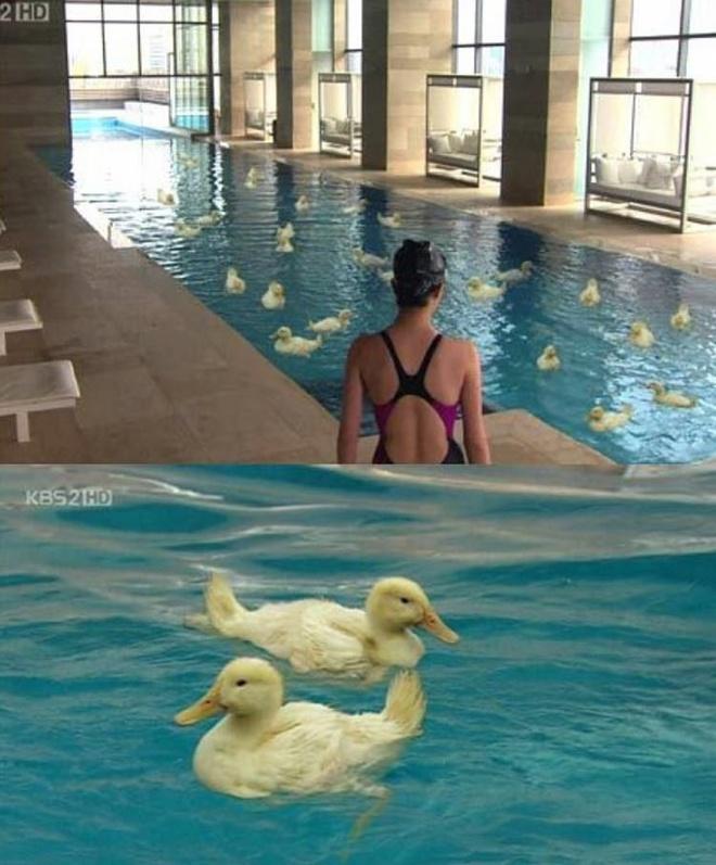 Những pha xử lý kỹ xảo thô vụng, giả tạo trong phim Hàn-9