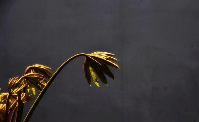 Có tiền xin đừng hà tiện, có hạnh phúc xin đừng chờ đợi, đã yêu xin đừng buông tay-3