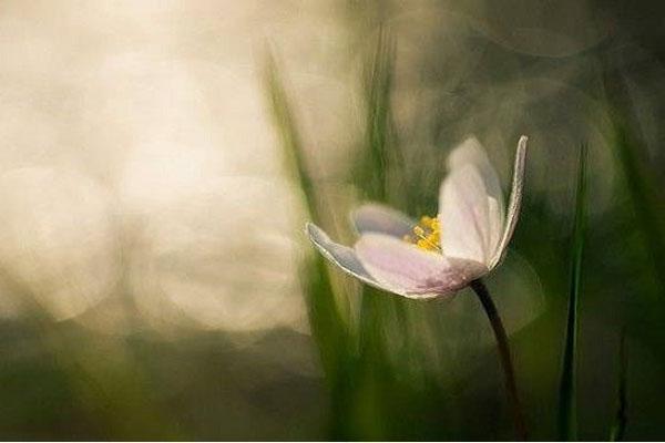 Chồng hà tiện đến mức vợ bỏ đi vẫn đăng đàn tố đồ hoang phí, chi tiêu phá mả, lấy tiền cho trai-3