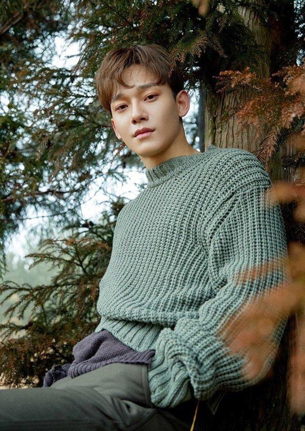 Chen (EXO) lần đầu tái xuất sau 6 tháng ở ẩn: Knet đua nhau khen ngợi nhưng liệu có thật lòng?-2