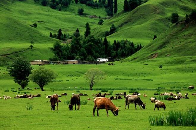 Tiên cảnh Tuyệt tình cốc phim Kim Dung vẫn chưa là gì với 5 địa danh quay phim cổ trang này-13