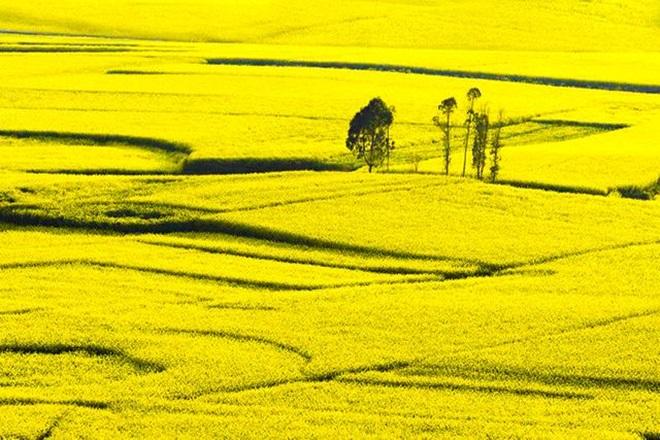 Tiên cảnh Tuyệt tình cốc phim Kim Dung vẫn chưa là gì với 5 địa danh quay phim cổ trang này-16