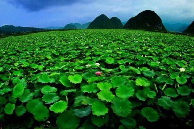 Tiên cảnh Tuyệt tình cốc phim Kim Dung vẫn chưa là gì với 5 địa danh quay phim cổ trang này-20