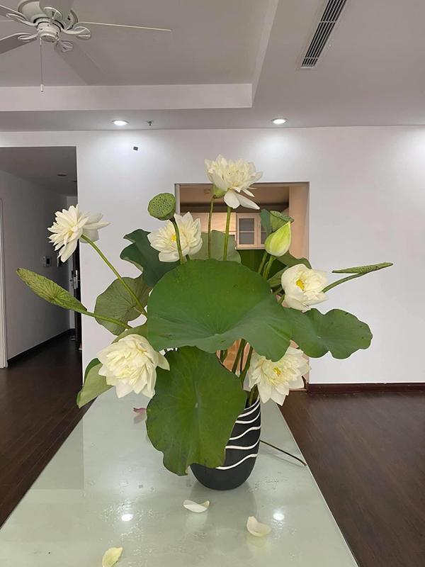 Trổ tài cắm hoa sen khủng, anh chồng đảm khiến hội chị em ghen tị vì quá khéo tay-9