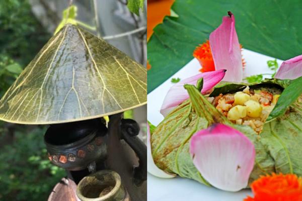 Bộ ảnh bé gái phá cách bên hoa sen chất lừ, dân sống ảo chuyên nghiệp còn thua xa-11