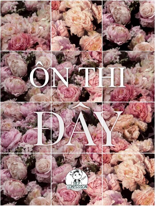 Thả xích đúng 1 từ tưởng vô nghĩa, Sơn Tùng M-TP khiến Sky chế cháo đến bấn loạn-5