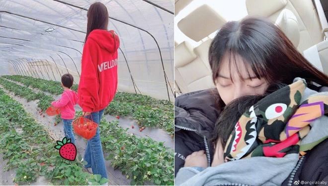 Con trai 3 tuổi của Angelababy sở hữu chiều cao nổi trội-2