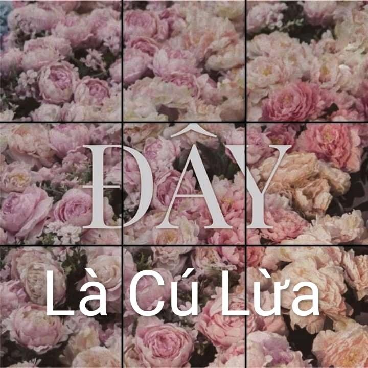 Sơn Tùng M-TP nhử thêm một chữ mới, fan than thở: Thế này chắc tới 2022 mới có nhạc để nghe-6