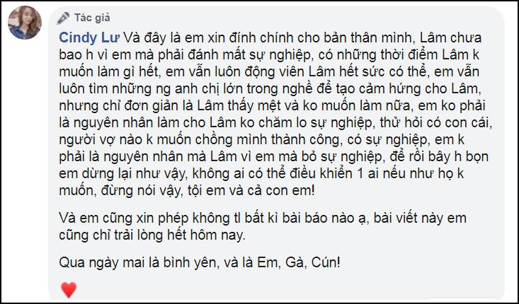 Ly hôn Hoài Lâm, Bảo Ngọc lần cuối khẳng định: Tôi không phá sự nghiệp anh ấy-3
