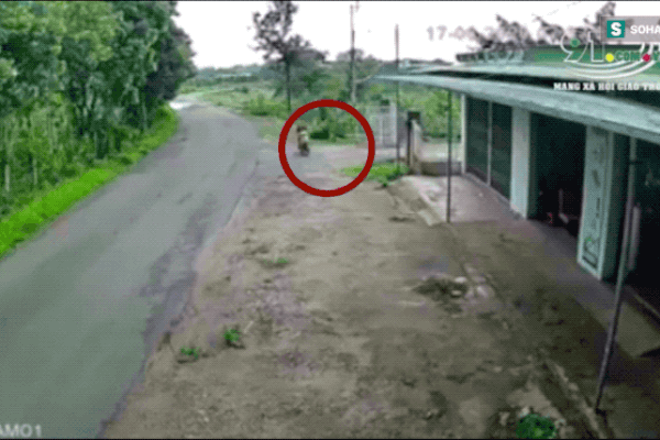 Clip: Người phụ nữ đi xe máy phóng nhanh, đâm sập bờ tường nhà dân