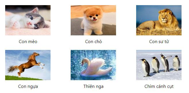 Bạn nhìn thấy con vật gì đầu tiên trong bức tranh khó nhằn này?-1