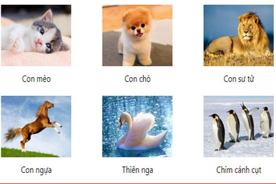Bạn nhìn thấy con vật gì đầu tiên trong bức tranh 'khó nhằn' này?