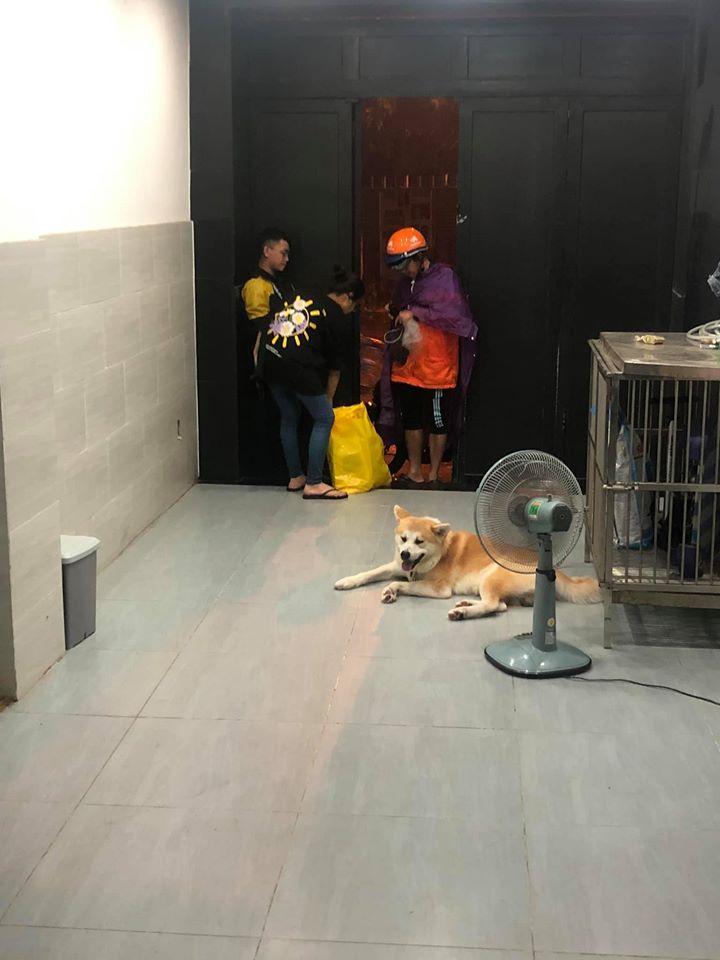 Không mua hàng mà shipper lũ lượt kéo tới nhà, Lâm Vỹ Dạ nổi điên khi tìm ra sự thật-3