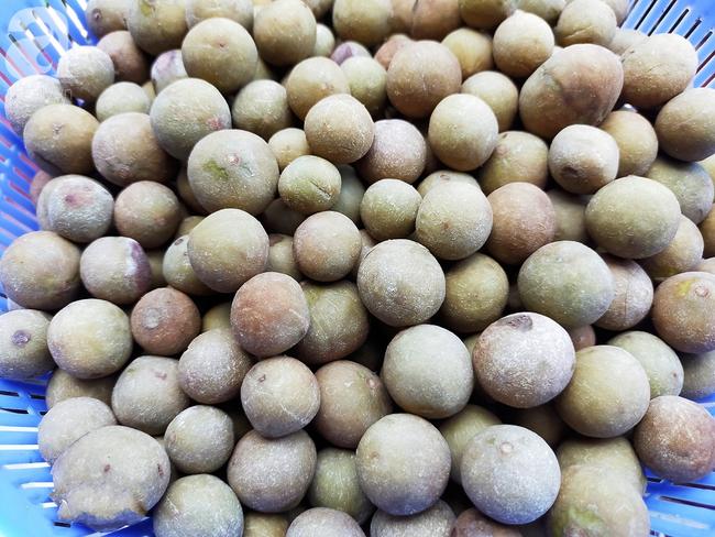 Bí quyết làm sấu ngâm mắm tỏi ớt giòn ngon hết nấc của mẹ đảm Hải Phòng-2