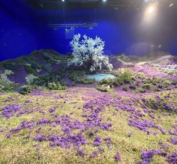 Giàu nứt vách như Bighit: Dựng phim trường bằng hàng thật, chi cực mạnh để MV của BTS đẹp như thiên đường-7