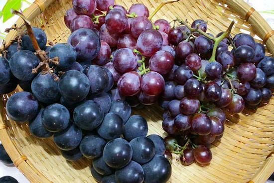Chỉ rửa nho với nước chẳng khác nào ăn trứng côn trùng, thêm bước này ăn không cần bóc vỏ