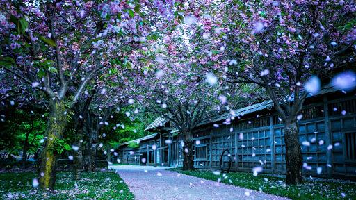 Chọn con đường muốn đi nhất để biết may mắn nào sẽ đến trong tháng 7-2