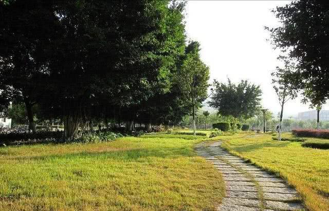 Chọn con đường muốn đi nhất để biết may mắn nào sẽ đến trong tháng 7-3