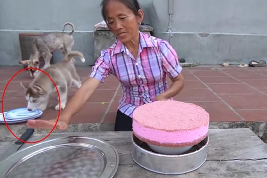 Mải mê làm bánh, bà Tân Vlog để chó liếm đĩa rồi mang ra đựng thức ăn mời các cháu