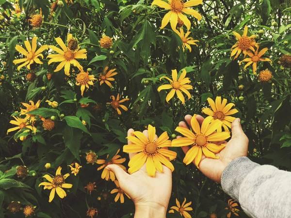 Tử vi thứ Ba ngày 30/6/2020 của 12 con giáp: Ngọ thành công lớn, Mão cần mạnh mẽ hơn-3