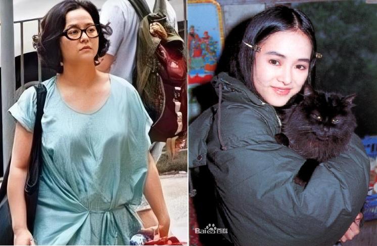 Diệp Uẩn Nghi - mỹ nhân phụ bạc Lâm Chí Dĩnh, lận đận tuổi xế chiều-11