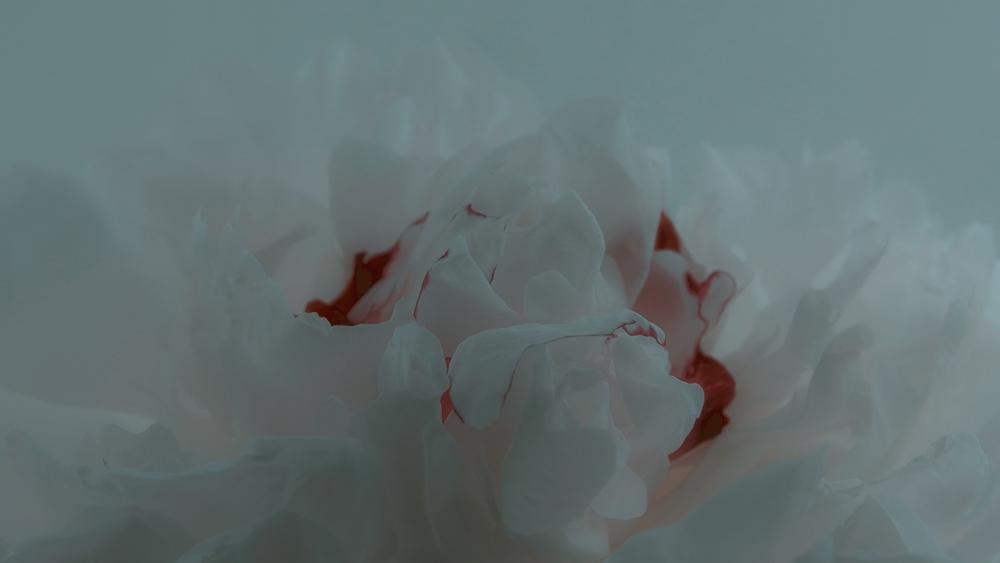 HOT: Sơn Tùng M-TP comeback với hình ảnh bí ẩn như ma thuật-3