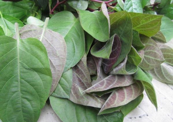 Những người và món ăn đại kị nhất với thịt lợn, chỉ 1 miếng thôi cũng dễ sinh bệnh-3