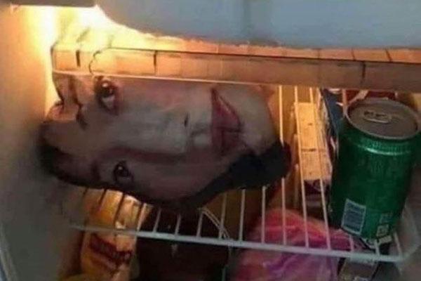 Thật thà nói với người yêu chuyện gửi tiền về cho bố đẻ, tôi nhận kết đắng-2