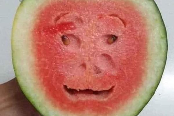 Mang chậu hứng mít chín, ông chú tẽn tò vì toang cả chậu lẫn mít-5