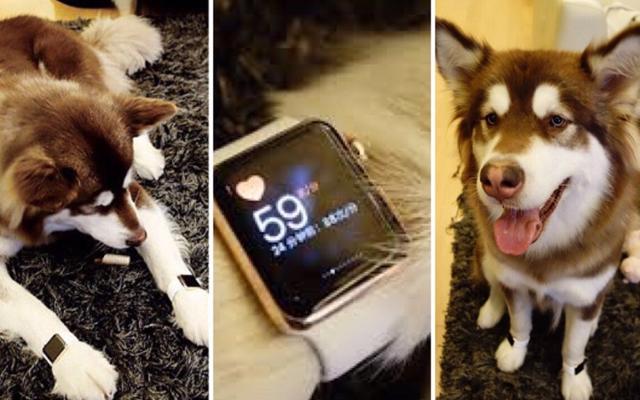 Nghiệp quật Vương Tư Thông: Thiếu gia chịu cảnh đứt đoạn ăn chơi, gật đầu lấy vợ vì tiền-2