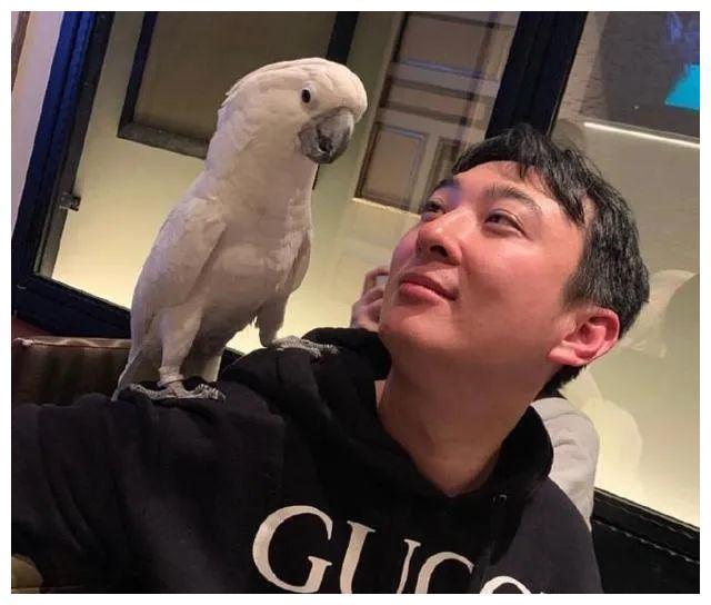 Nghiệp quật Vương Tư Thông: Thiếu gia chịu cảnh đứt đoạn ăn chơi, gật đầu lấy vợ vì tiền-3