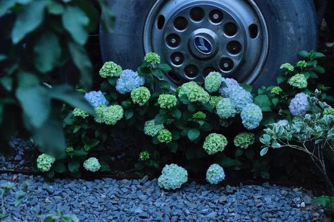 Ngôi nhà nghệ thuật làm lại từ chiếc xe bus bị bỏ hoang-7