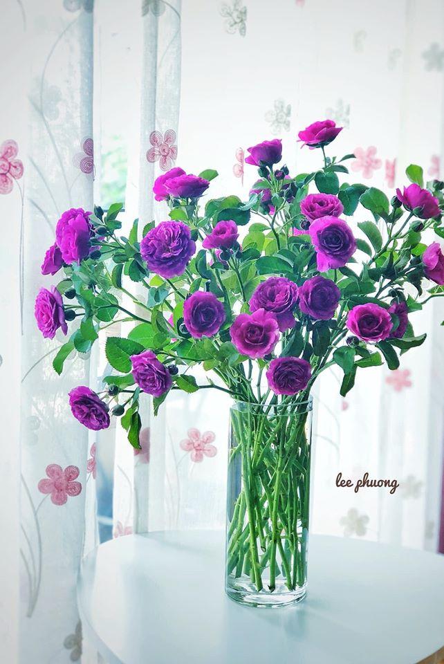 Mãn nhãn với bộ sưu tập bình hoa tím lịm tìm sim của người phụ nữ Hà Thành-2