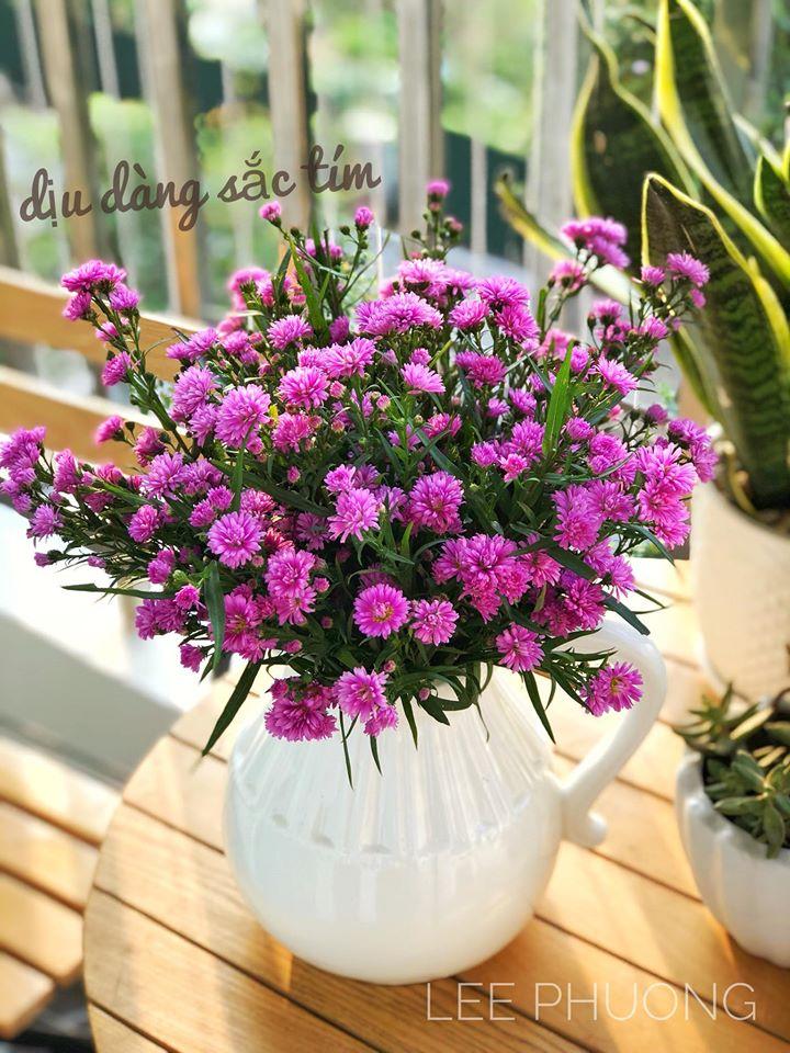 Mãn nhãn với bộ sưu tập bình hoa tím lịm tìm sim của người phụ nữ Hà Thành-8