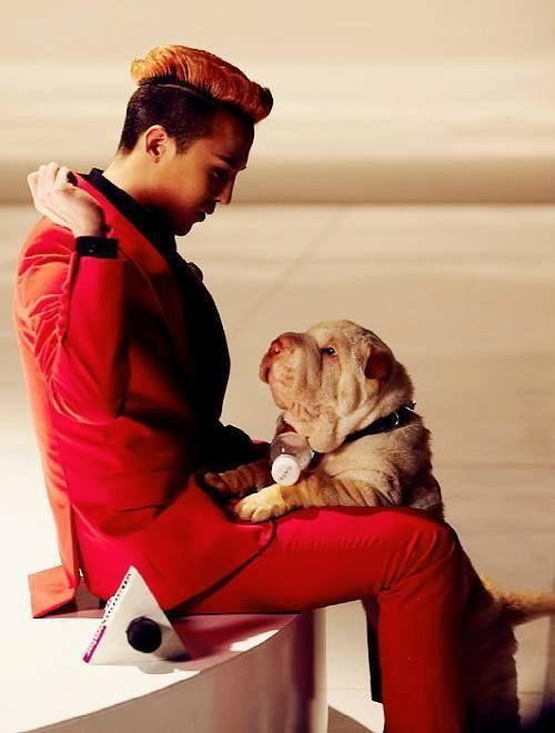 G-Dragon bị ném đá vì xem cún cưng như phụ kiện thời trang-3
