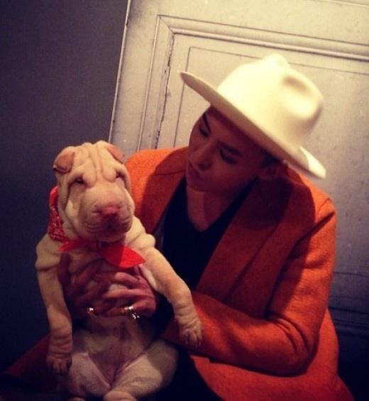 G-Dragon bị ném đá vì xem cún cưng như phụ kiện thời trang-4