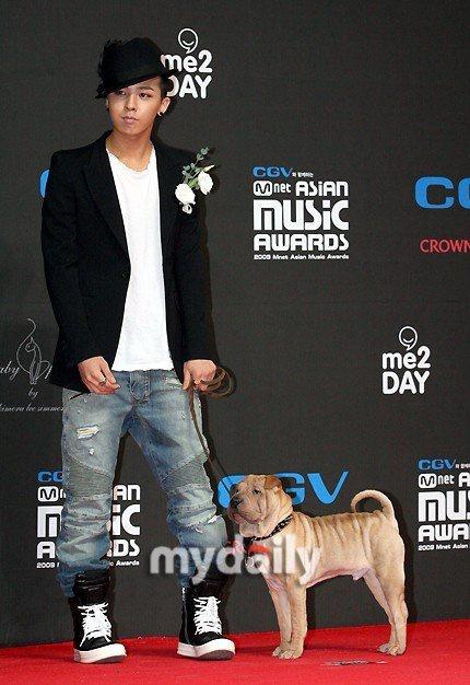 G-Dragon bị ném đá vì xem cún cưng như phụ kiện thời trang-6