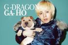 G-Dragon bị ném đá vì xem cún cưng như phụ kiện thời trang