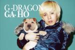 G-Dragon bị ném đá vì xem cún cưng như phụ kiện thời trang