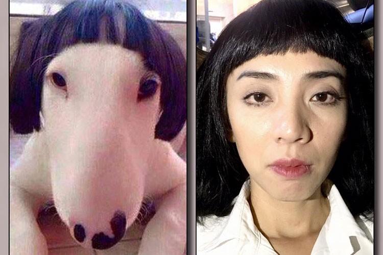 Loạt sao Việt khóc không ra tiếng khi bị Trấn Thành biến thành tranh vui vẽ hỏng-8