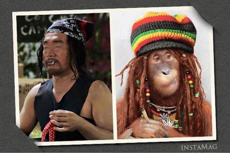 Loạt sao Việt khóc không ra tiếng khi bị Trấn Thành biến thành tranh vui vẽ hỏng-11