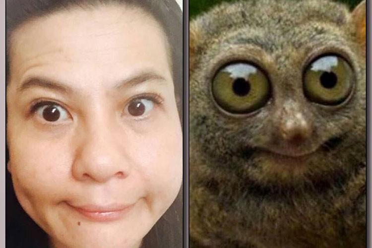 Loạt sao Việt khóc không ra tiếng khi bị Trấn Thành biến thành tranh vui vẽ hỏng-12